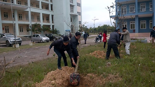 GẶP MẶT ĐẦU XU&Acirc;N 2016 V&Agrave; TỔ CHỨC TẾT TRỒNG C&Acirc;Y 