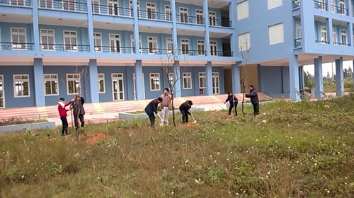 GẶP MẶT ĐẦU XU&Acirc;N 2016 V&Agrave; TỔ CHỨC TẾT TRỒNG C&Acirc;Y 