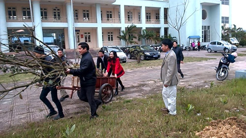 GẶP MẶT ĐẦU XU&Acirc;N 2016 V&Agrave; TỔ CHỨC TẾT TRỒNG C&Acirc;Y 
